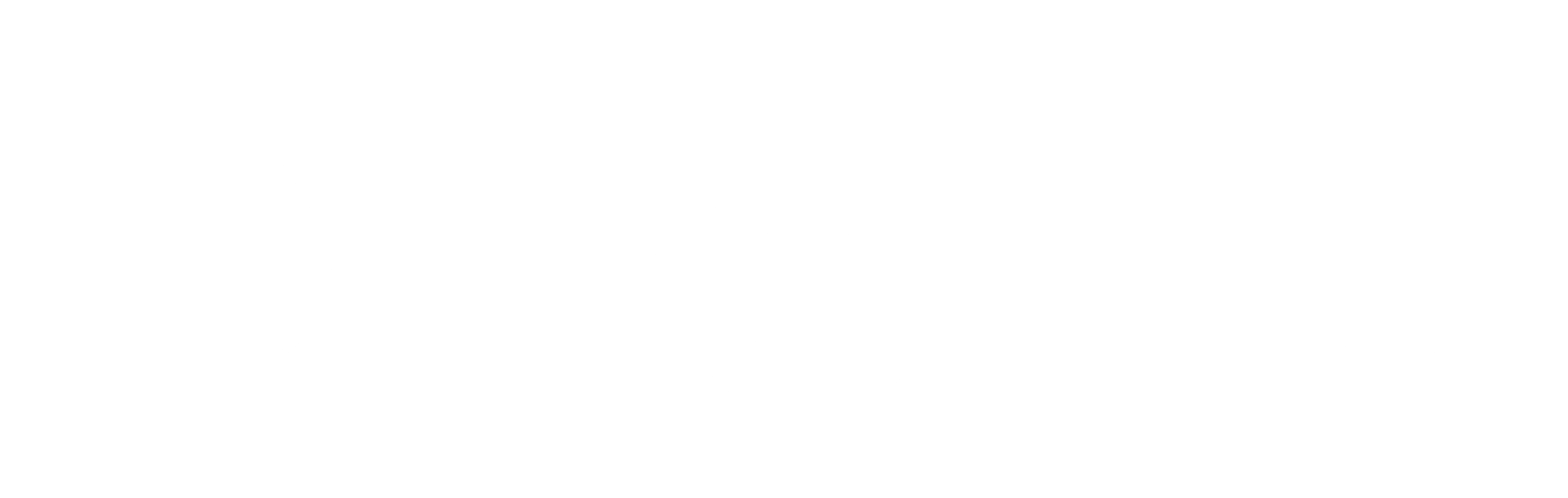 Porto Logo